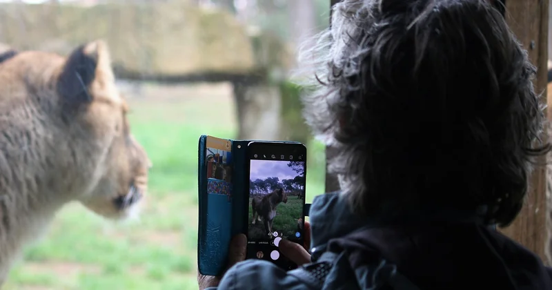 Quel matériel pour un safari photo quand on débute