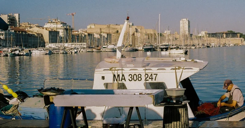 Marseille : le contre-exemple qui devrait changer vos habitudes