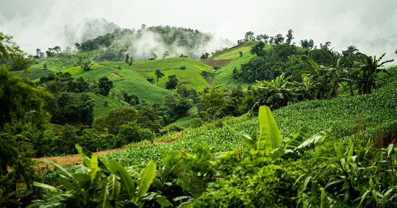 Top 10 des destinations populaires en Asie pour les amoureux de la nature